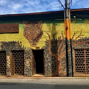 Refugio Del Jaguar , Medellín Colômbia